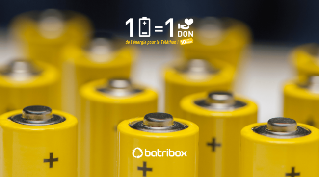 Couvercle de Borne de Batterie, 20 Pcs Couvre-bornes de Batterie Sont  Utilisés dans toutes Sortes de Voitures, Borne de Batterie Est Fait de  Plastique
